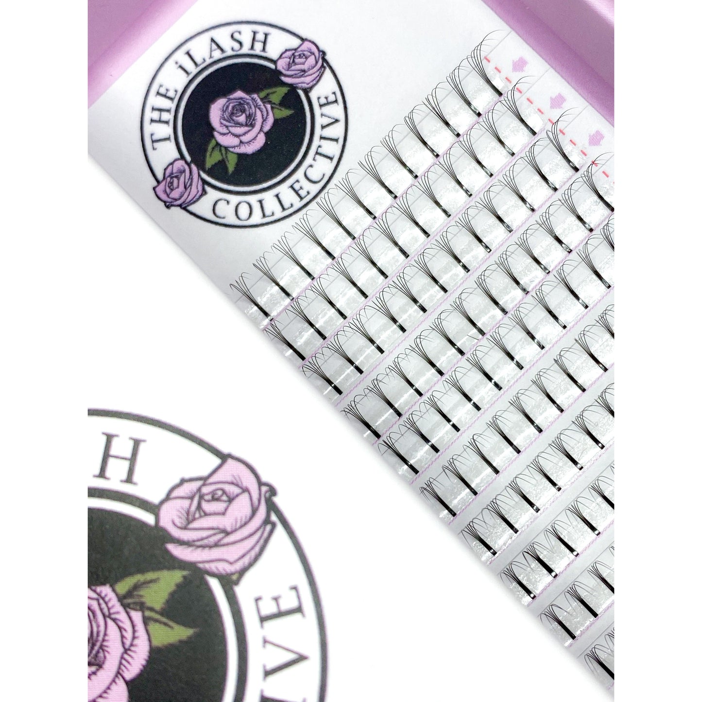 ECO 4D 0.07 D Curl LONG STEM Volume Fans Eyelash Extensions