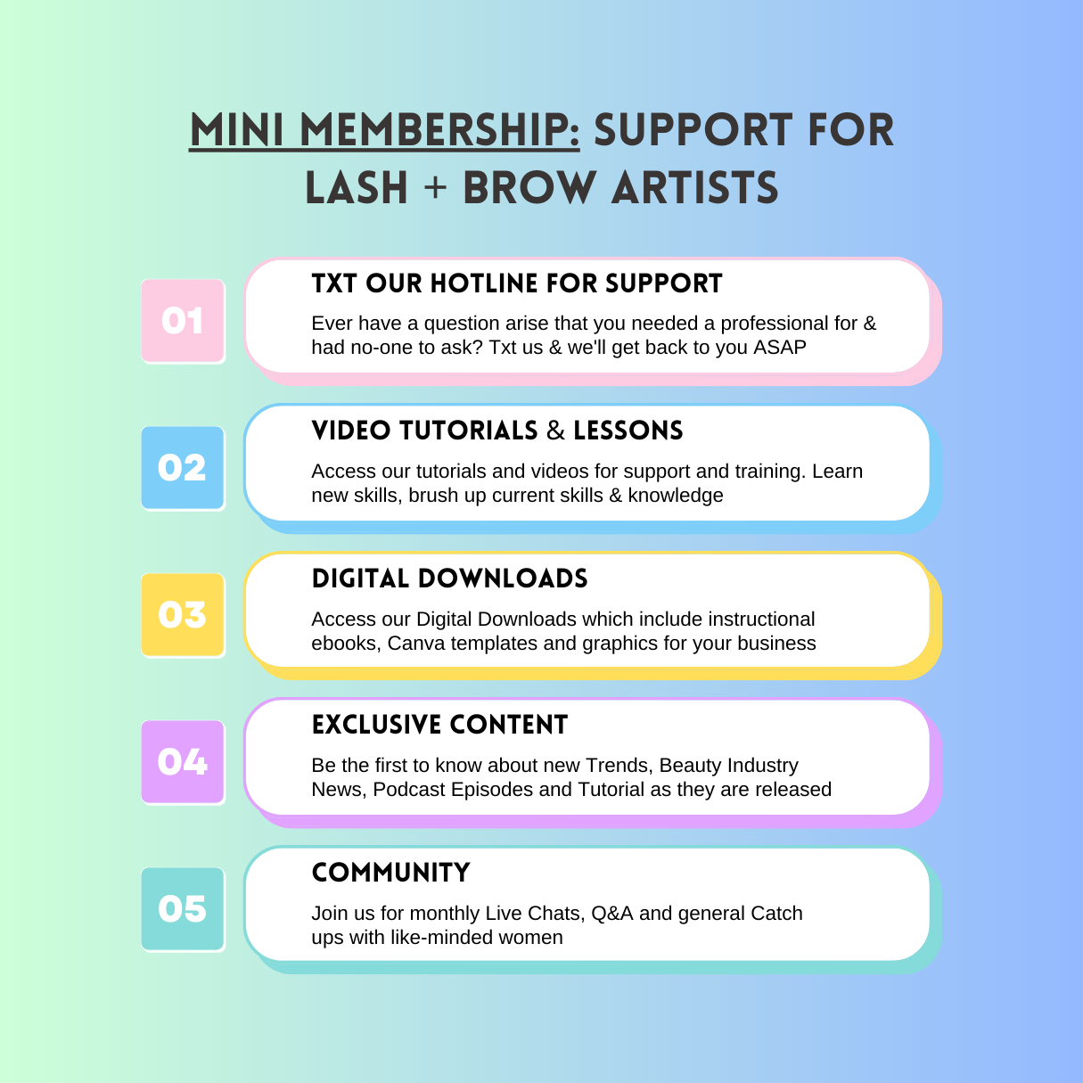 Mini Membership Monthly: Support for Lash & Brow Artists